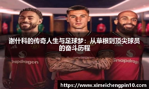 谢什科的传奇人生与足球梦:从草根到顶尖球员的奋斗历程